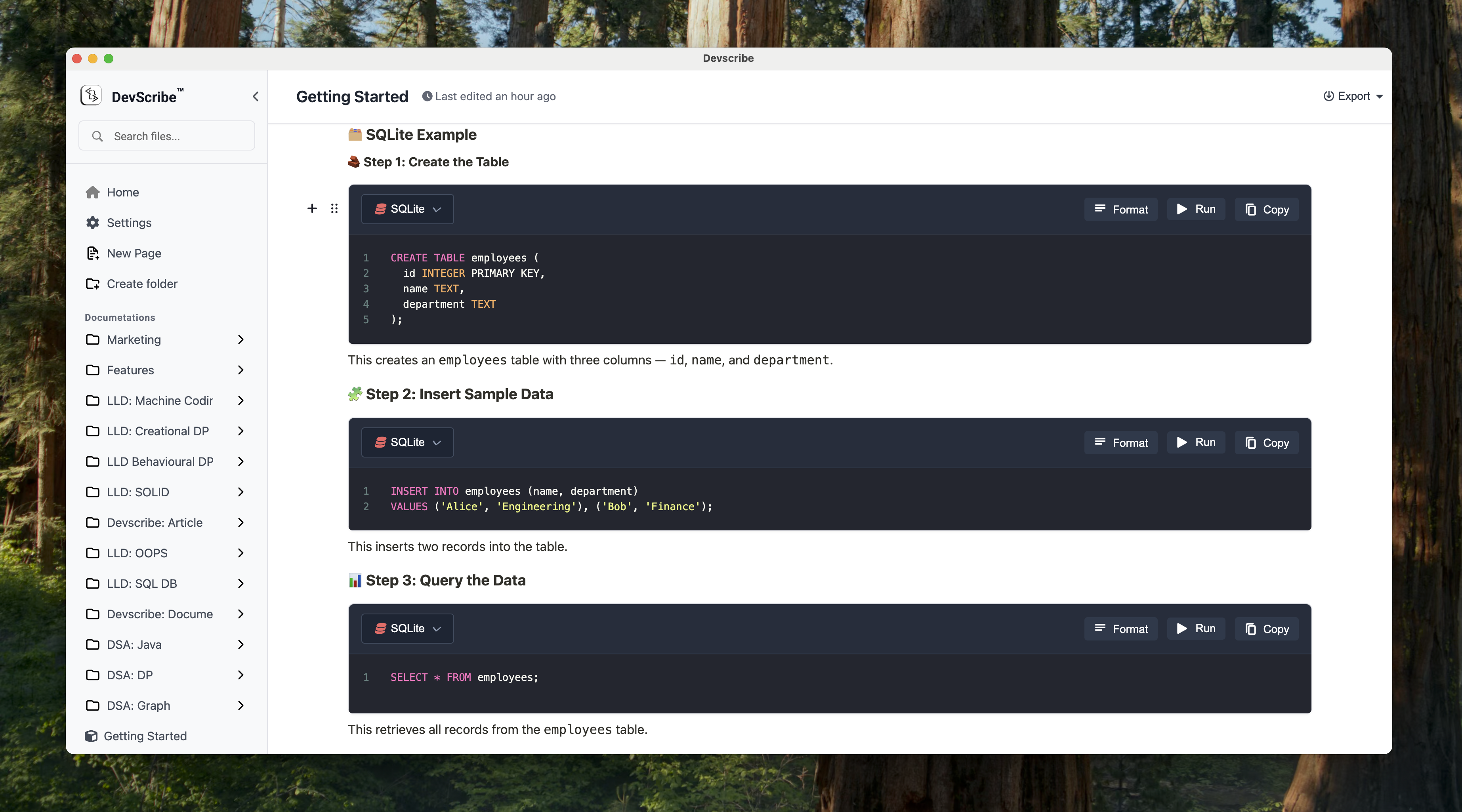 DevScribe